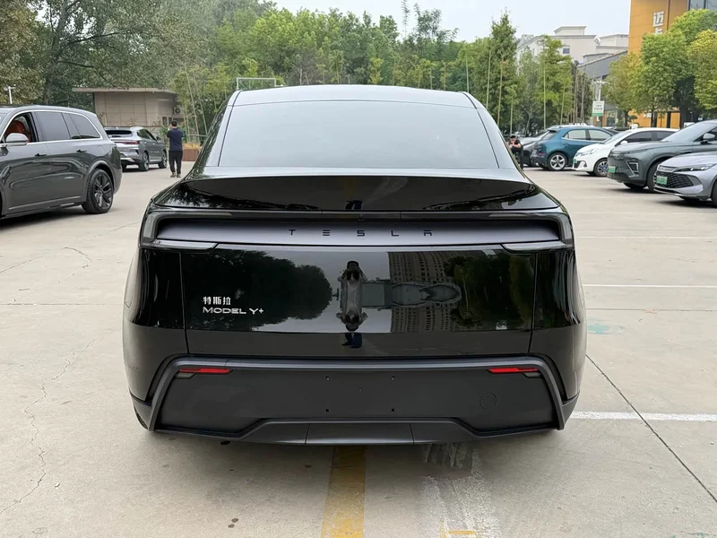 Tesla Model Y — фото 18