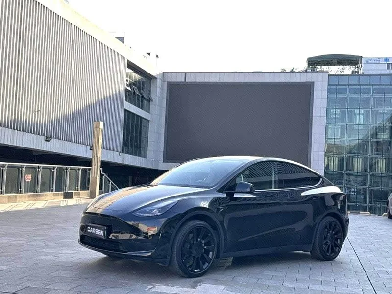 Tesla Model Y — фото 1