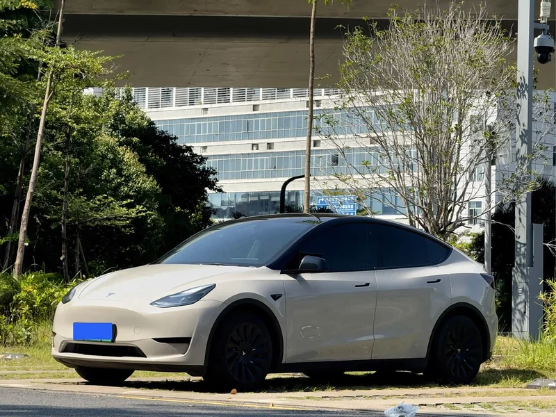 Tesla Model Y — фото 1