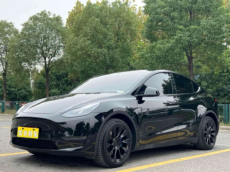 Tesla Model Y — фото 1