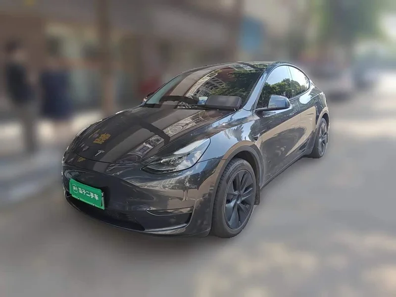 Tesla Model Y — фото 1