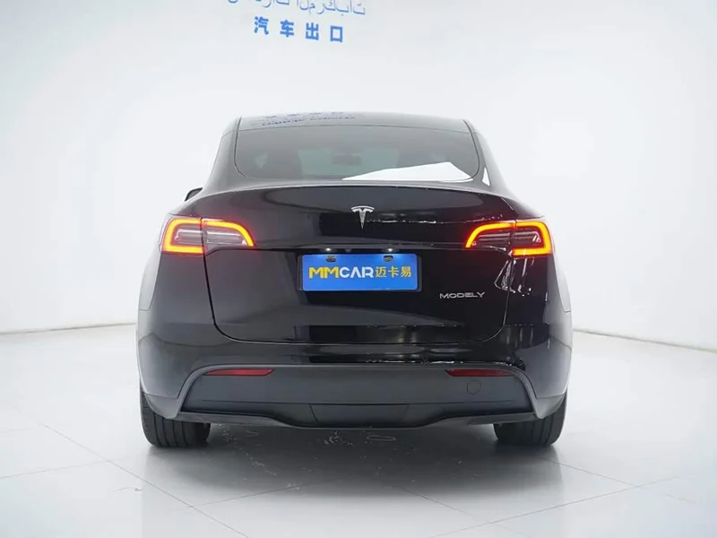 Tesla Model Y — фото 11
