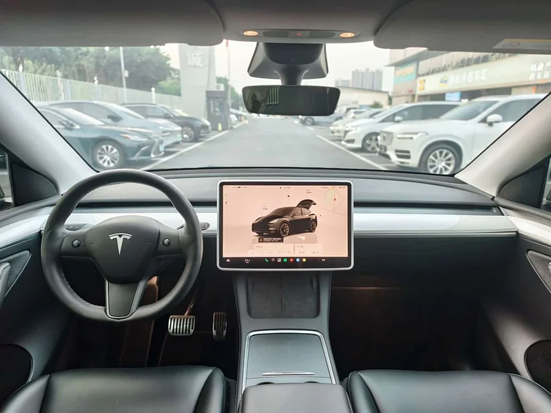 Tesla Model Y — фото 11