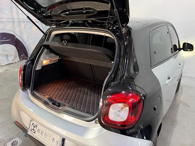 Smart Forfour — фото 11