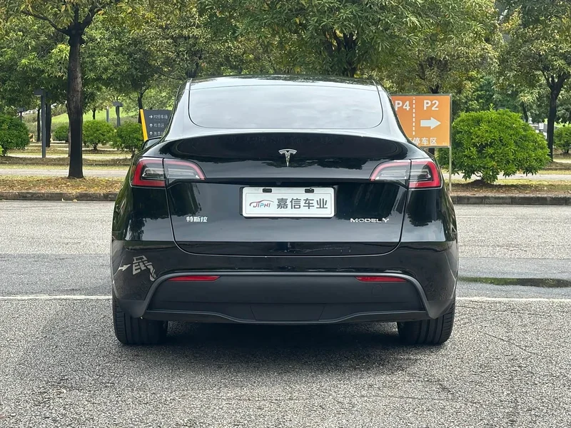 Tesla Model Y — фото 5