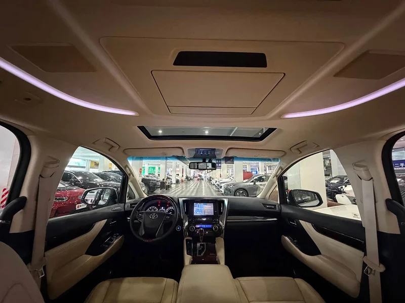 Toyota Alphard — фото 10
