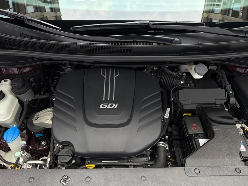 Kia Carnival — фото 19