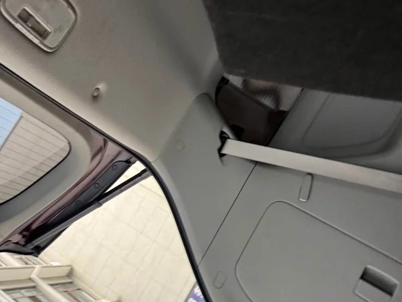 Kia Carnival — фото 20
