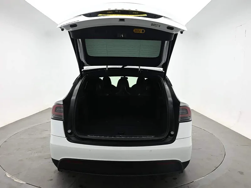 Tesla Model X — фото 8