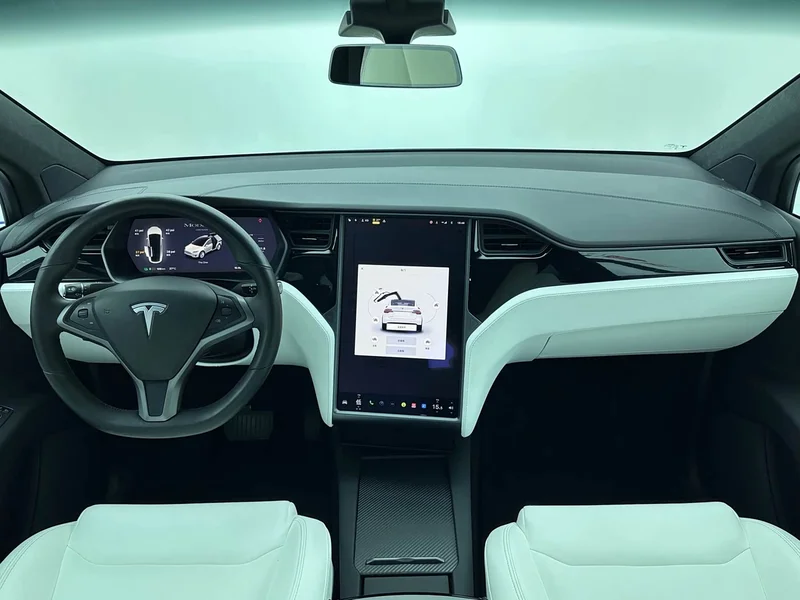 Tesla Model X — фото 19