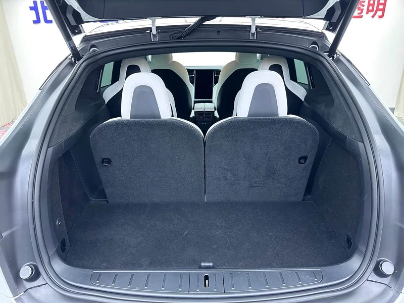 Tesla Model X — фото 21