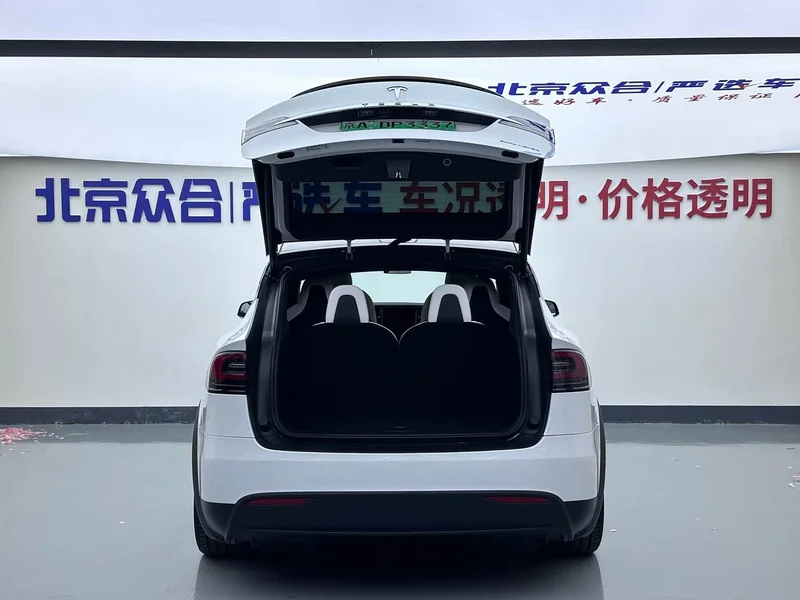 Tesla Model X — фото 22