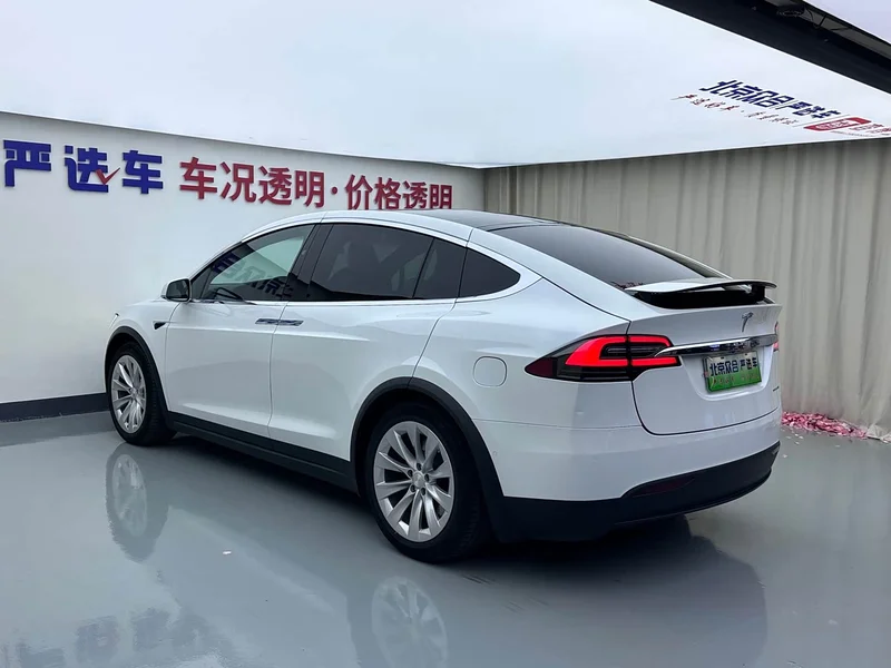 Tesla Model X — фото 24