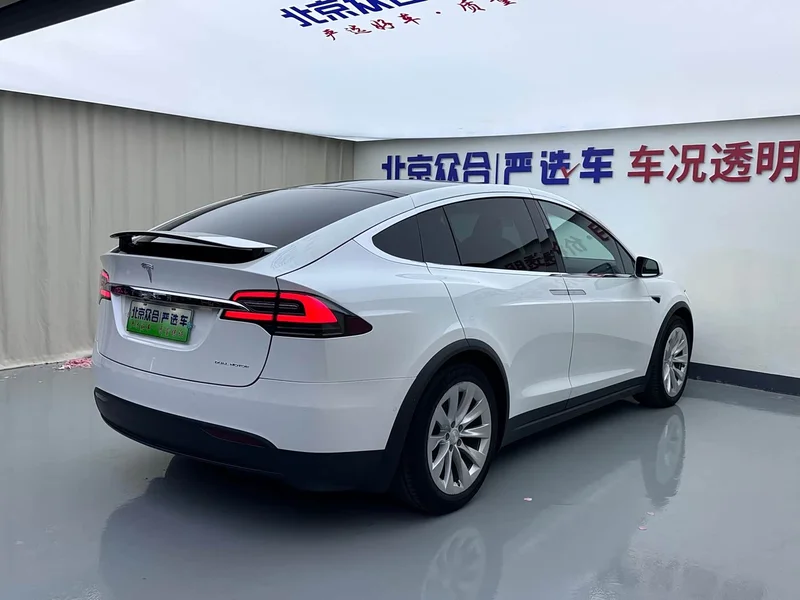 Tesla Model X — фото 25