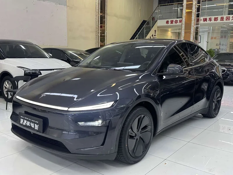 Tesla Model Y — фото 1