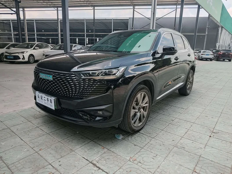 Haval H6 New Energy — фото 1