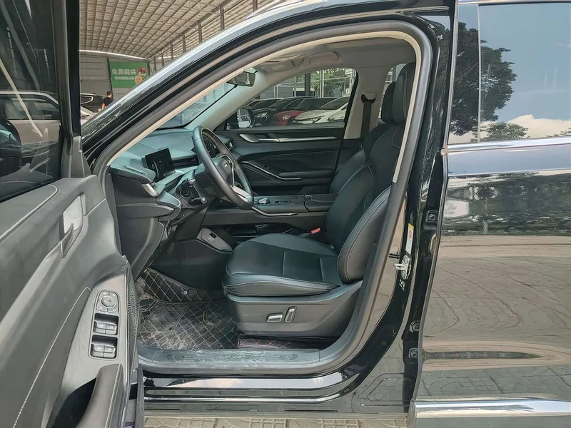 Haval H6 New Energy — фото 12