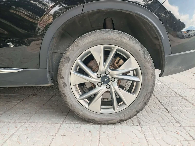 Haval H6 New Energy — фото 16