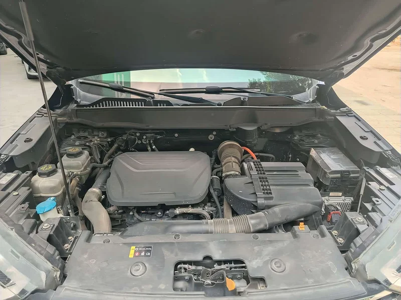 Haval H6 New Energy — фото 17