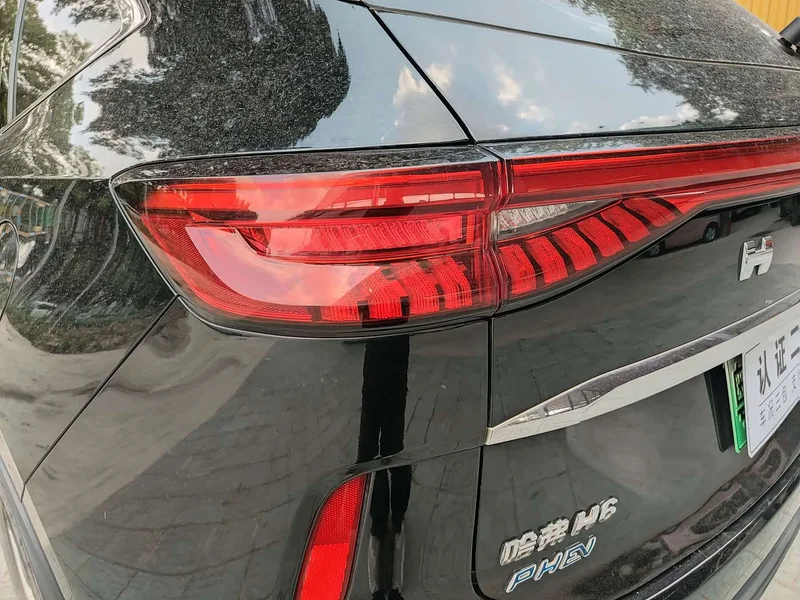 Haval H6 New Energy — фото 19