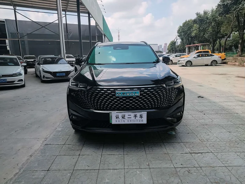 Haval H6 New Energy — фото 2