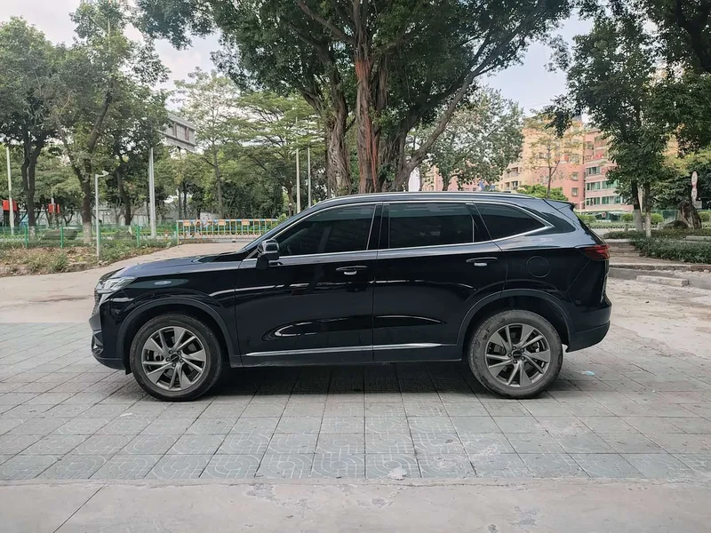 Haval H6 New Energy — фото 4