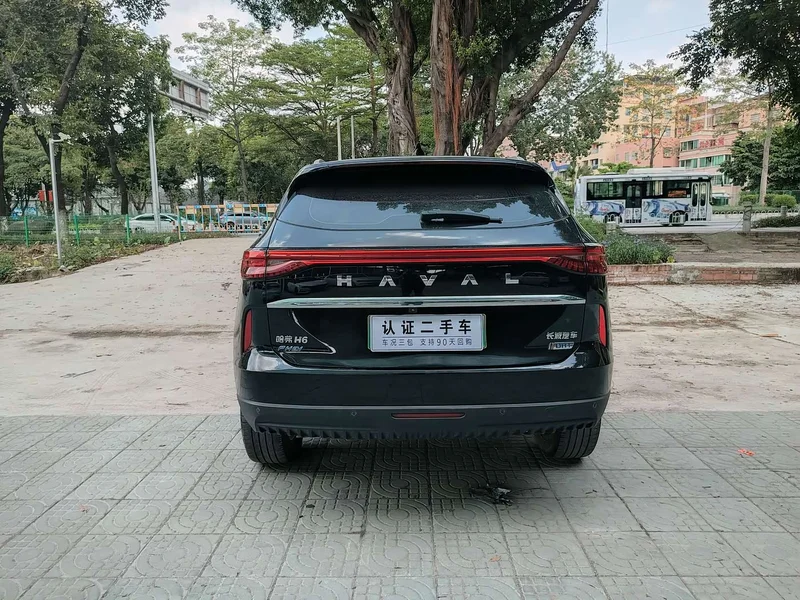 Haval H6 New Energy — фото 6