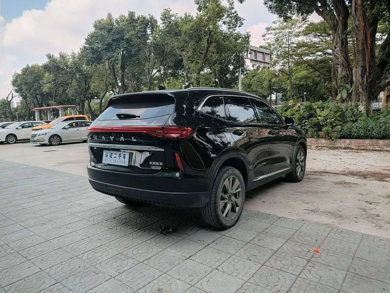 Haval H6 New Energy — фото 7