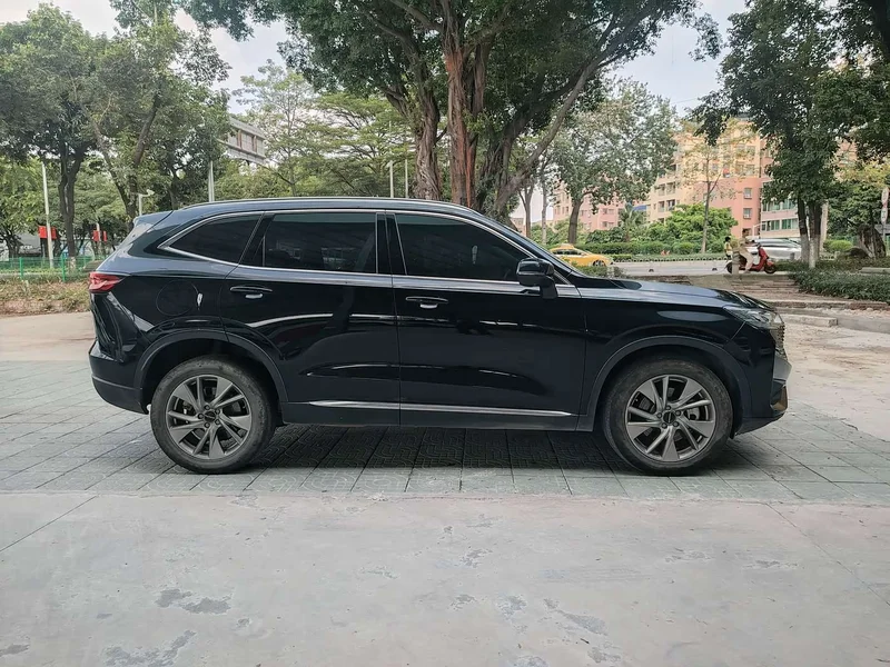 Haval H6 New Energy — фото 8