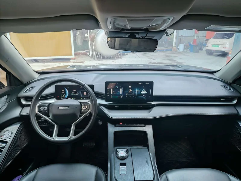 Haval H6 New Energy — фото 9