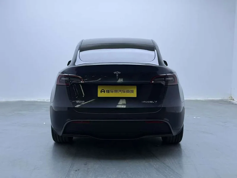 Tesla Model Y — фото 5