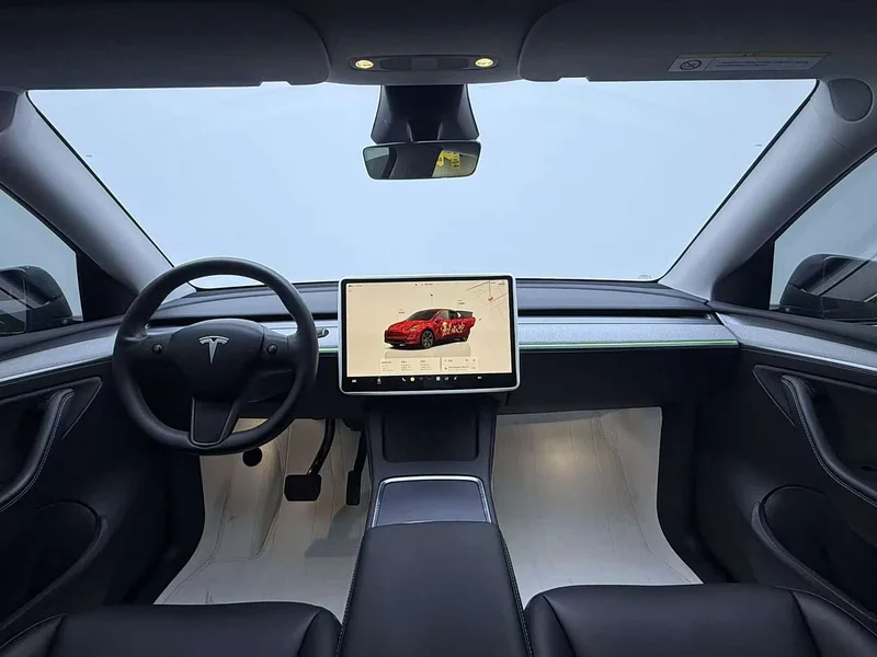 Tesla Model Y — фото 10