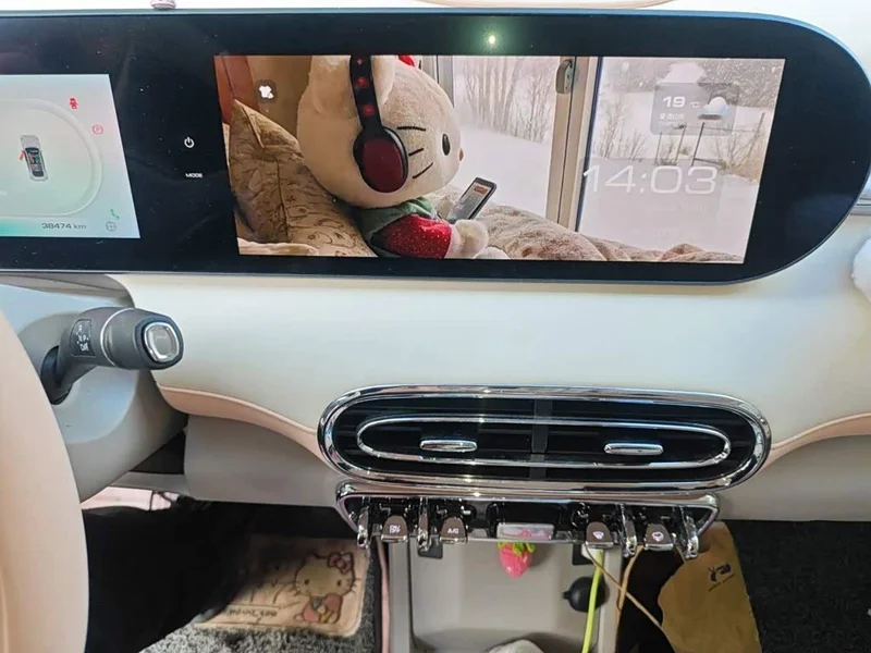 Ora Ballet Cat — фото 9