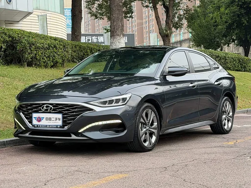 Hyundai Fista — фото 1