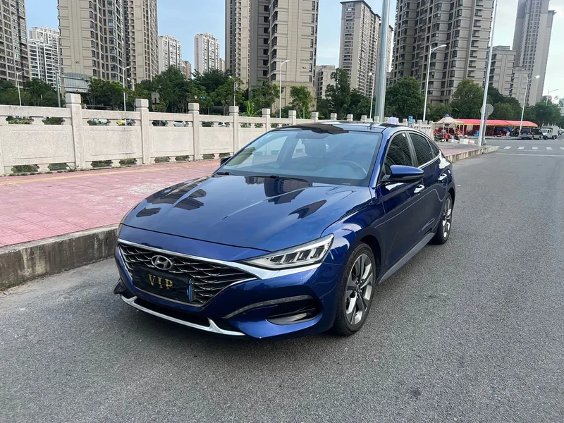 Hyundai Fista — фото 1