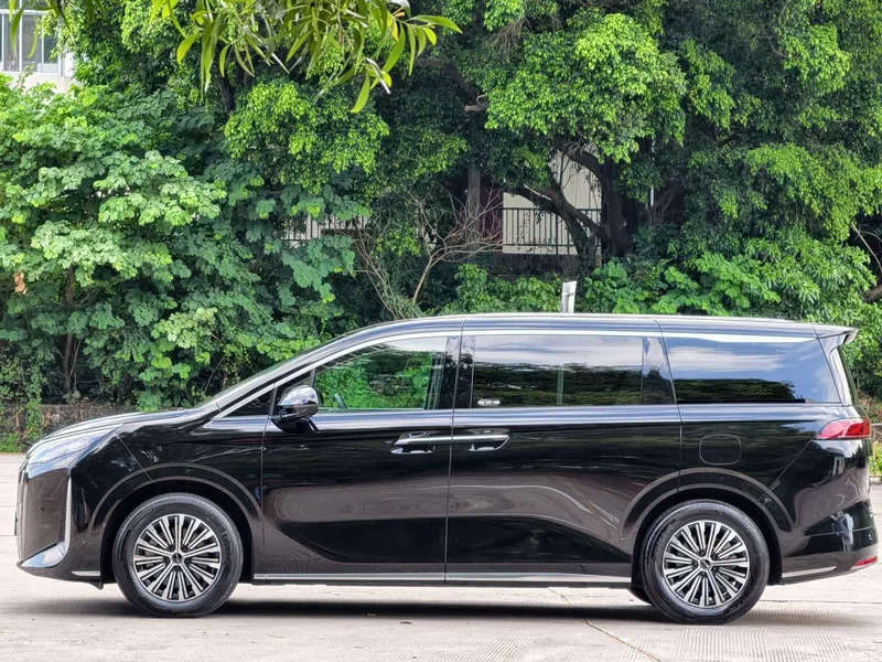 BYD M9 — фото 13