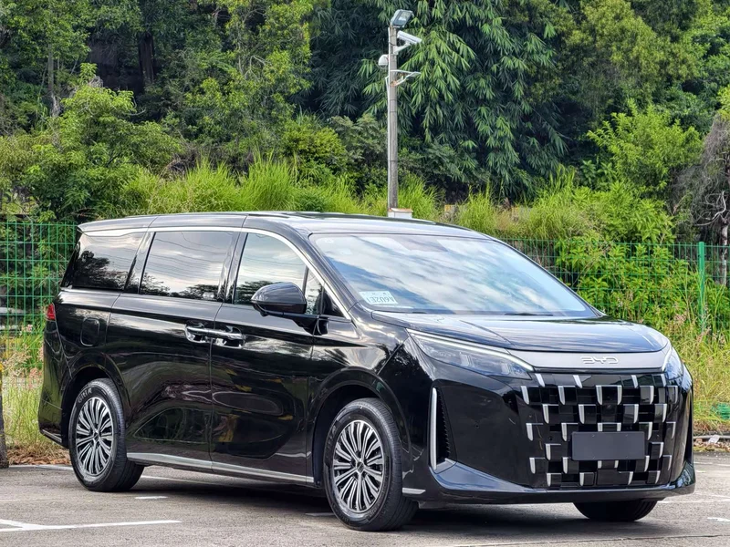 BYD M9 — фото 3