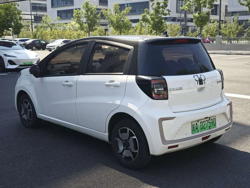 Baojun Flower Fairy — фото 9