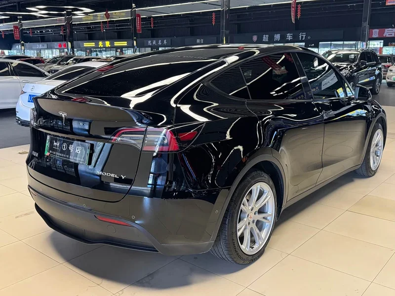 Tesla Model Y — фото 13