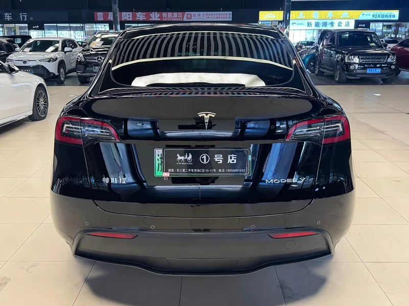 Tesla Model Y — фото 14