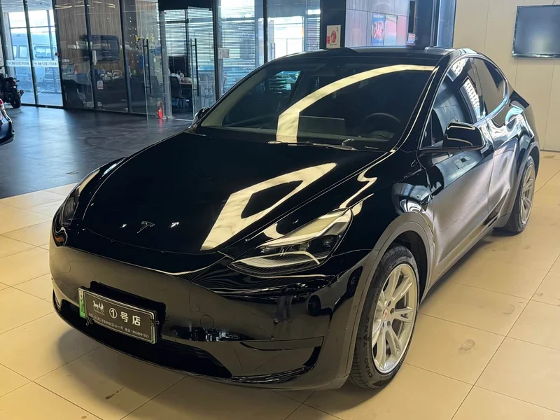 Tesla Model Y — фото 10