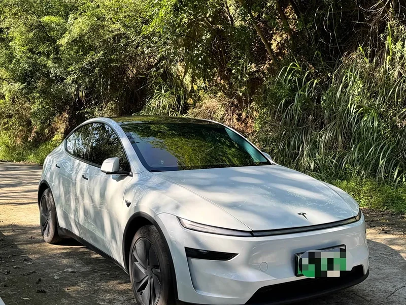 Tesla Model Y — фото 2