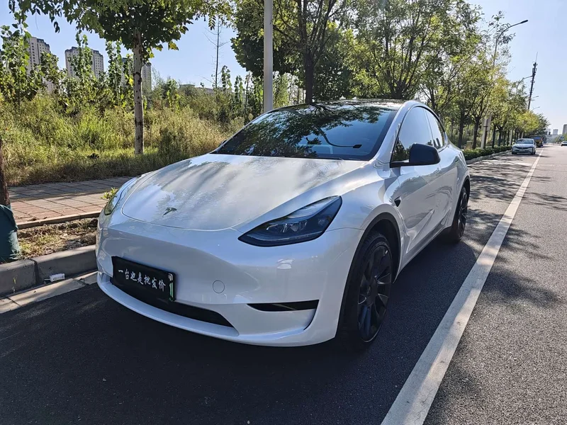 Tesla Model Y — фото 1