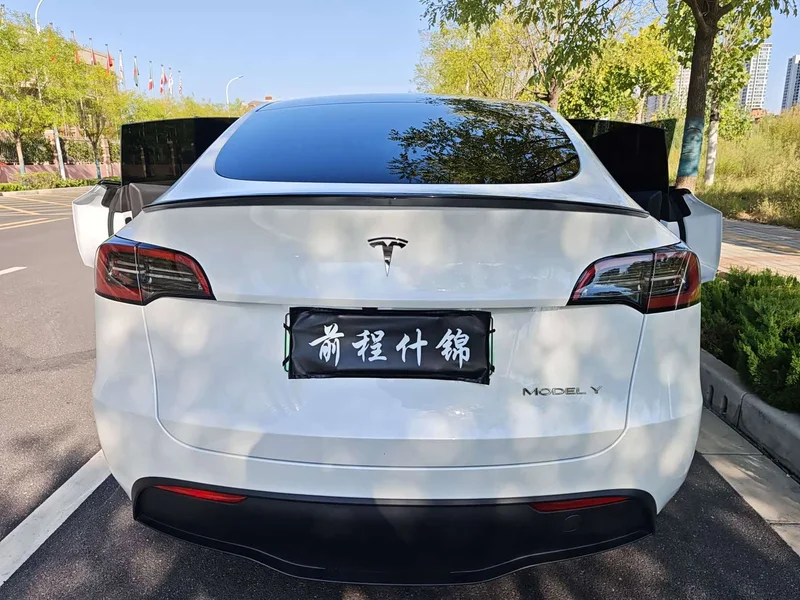 Tesla Model Y — фото 15