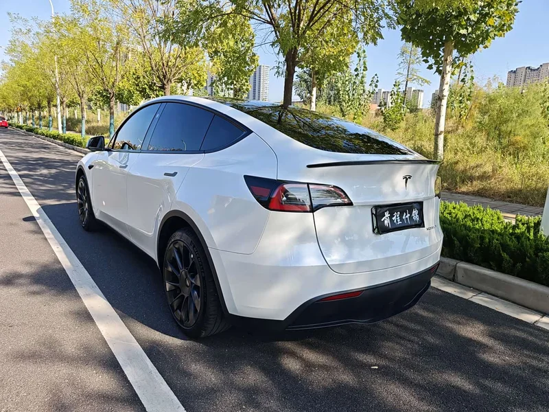 Tesla Model Y — фото 4