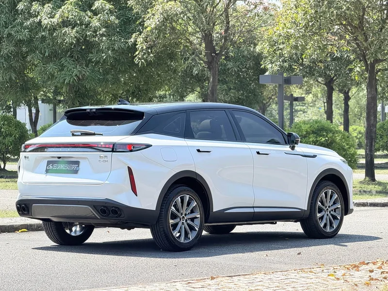Changan Yaoguang C-DM — фото 29