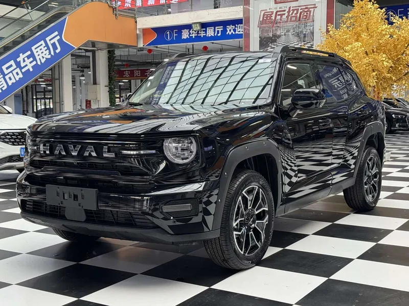 Haval Dagou PLUS New Energy — фото 1
