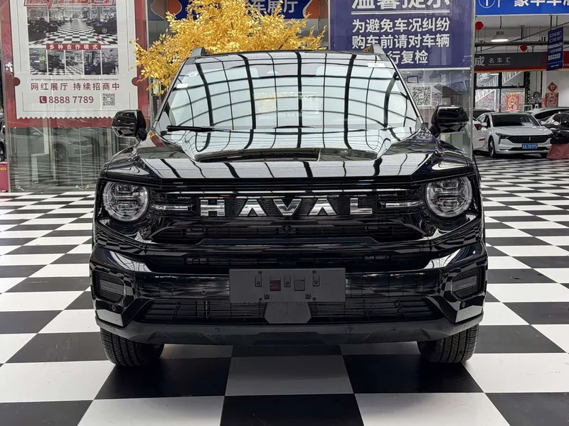 Haval Dagou PLUS New Energy — фото 2