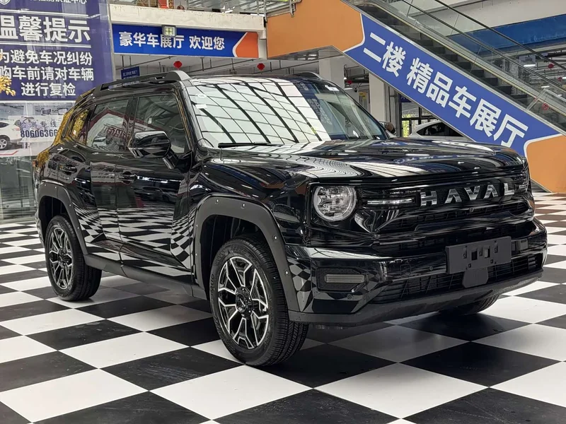 Haval Dagou PLUS New Energy — фото 3
