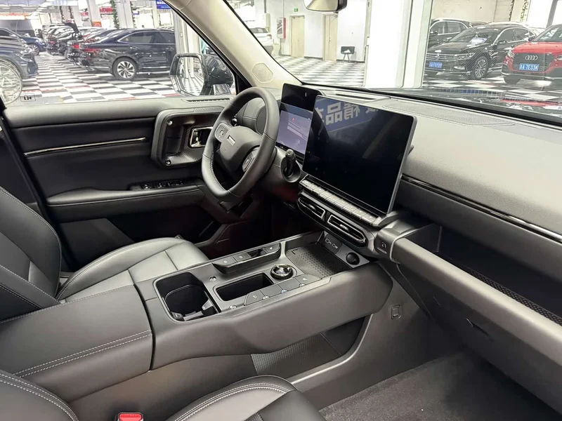 Haval Dagou PLUS New Energy — фото 4